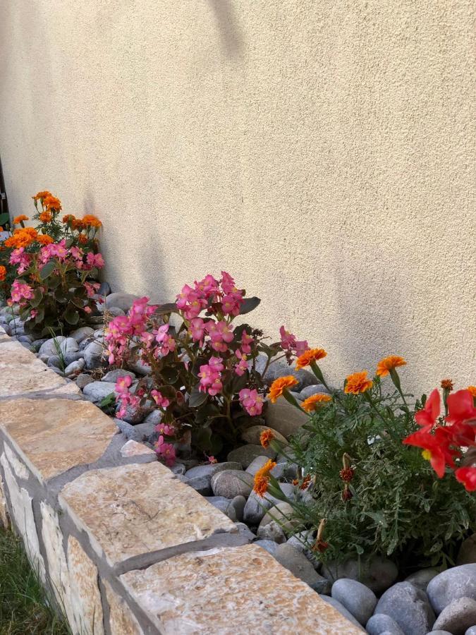 Vila Razic Danilovgrad Eksteriør bilde